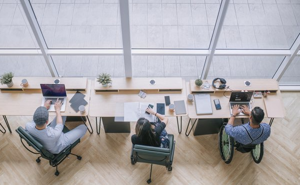 Workers sit at a desk facing a window, one of them uses a wheelchair